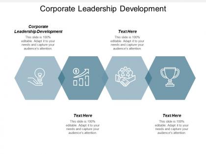 Corporate leadership development ppt powerpoint presentation gallery shapes cpb