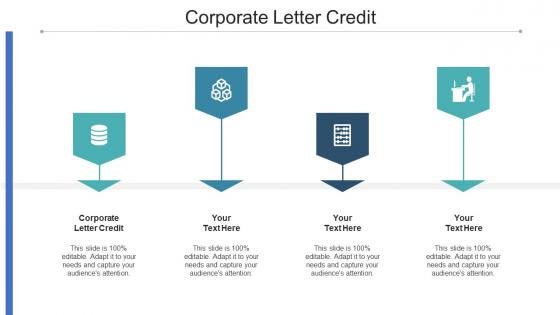 Corporate Letter Credit Ppt Powerpoint Presentation Styles Visuals Cpb