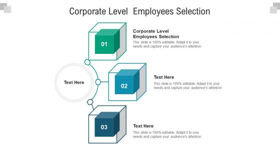 Corporate level employees selection ppt powerpoint presentation show brochure cpb