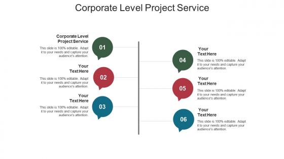 Corporate level project service ppt powerpoint presentation design ideas cpb