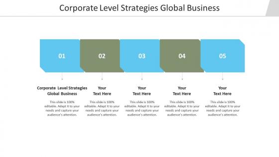 Corporate level strategies global business ppt powerpoint presentation styles aids cpb