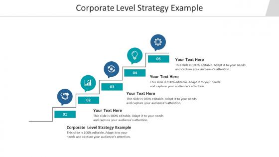 Corporate level strategy example ppt powerpoint presentation show inspiration cpb