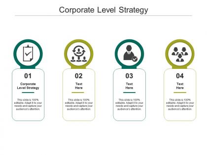 Corporate level strategy ppt powerpoint presentation file templates cpb