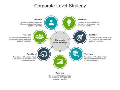 Corporate level strategy ppt powerpoint presentation gallery images cpb