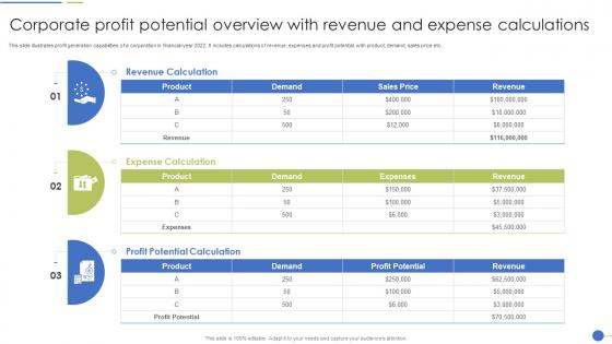 Corporate Profit Potential Overview With Revenue And Expense Calculations