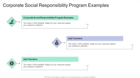 Corporate Social Responsibility Program Examples In Powerpoint And Google Slides Cpb
