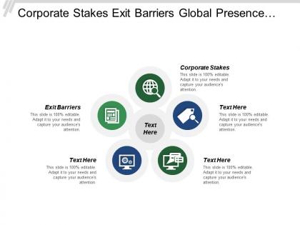 Corporate stakes exit barriers global presence vision strategy