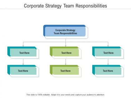 Corporate strategy team responsibilities ppt powerpoint presentation infographic template styles cpb