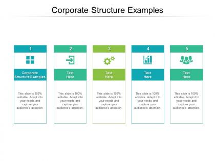 Corporate structure examples ppt powerpoint presentation infographic template outfit cpb