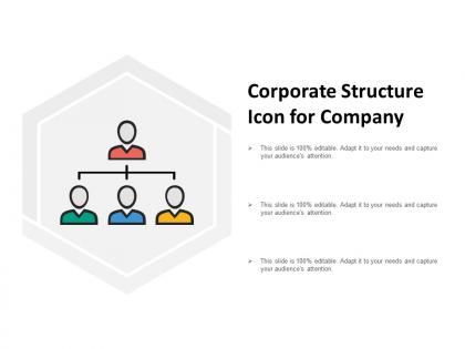 Corporate structure icon for company