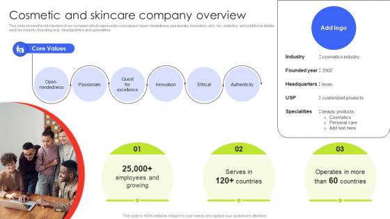 Cosmetic And Skincare Company Overview Customer Demographic Segmentation MKT SS V