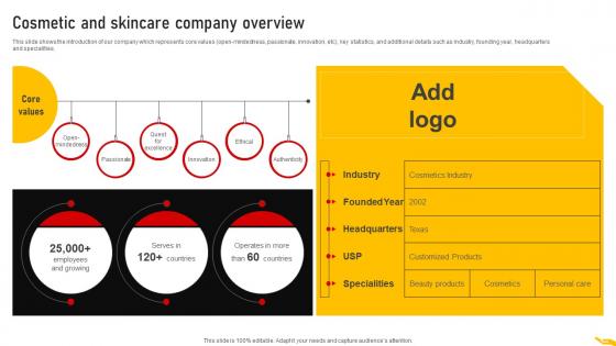 Cosmetic And Skincare Company Overview Customer Segmentation Strategy MKT SS V