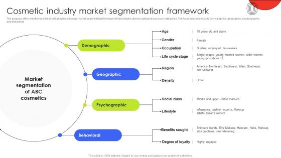Cosmetic Industry Market Segmentation Framework Customer Demographic Segmentation MKT SS V