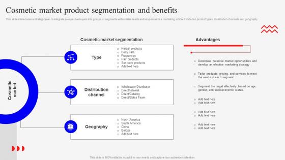 Cosmetic Market Product Segmentation Marketing Mix Strategies For Product MKT SS V
