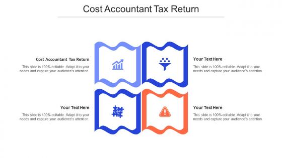 Cost Accountant Tax Return Ppt Powerpoint Presentation Infographic Template Skills Cpb