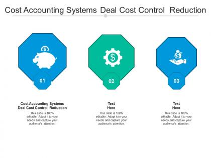 Cost accounting systems deal cost control reduction cpb ppt powerpoint presentation portfolio portrait cpb