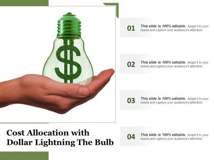 Cost allocation with dollar lightning the bulb