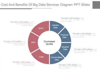 Cost and benefits of big data services diagram ppt slides