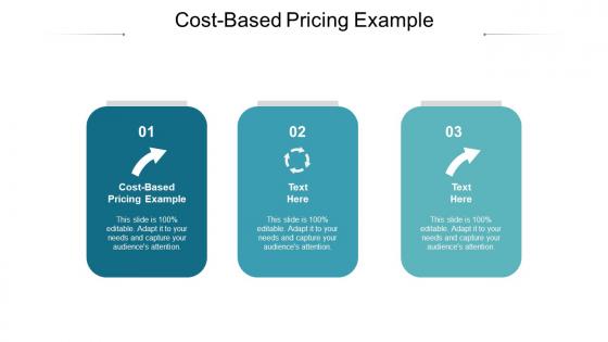 Cost based pricing example ppt powerpoint presentation model diagrams cpb