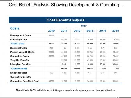 Cost benefit analysis showing development and operating costs