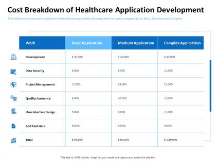 Cost breakdown of healthcare application development interface design ppt summary