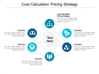 Cost calculation pricing strategy ppt powerpoint presentation infographic template topics cpb