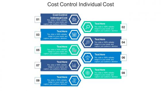 Cost control individual cost ppt powerpoint presentation file slides cpb