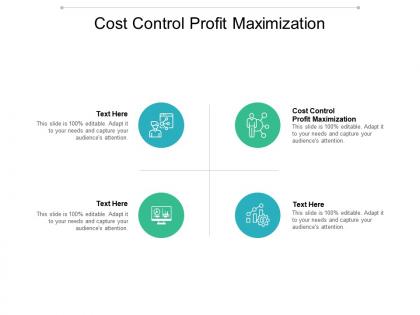 Cost control profit maximization ppt powerpoint presentation gallery background image cpb