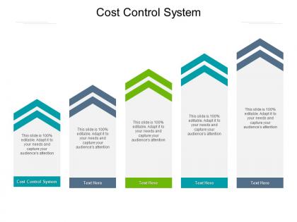 Cost control system ppt powerpoint presentation gallery example topics cpb