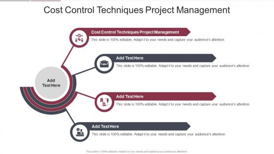 Cost Control Techniques Project Management In Powerpoint And Google Slides Cpb