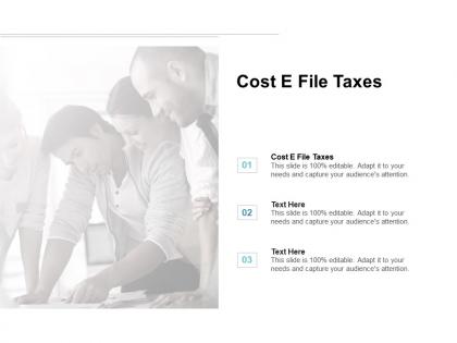 Cost e file taxes ppt powerpoint presentation file images cpb