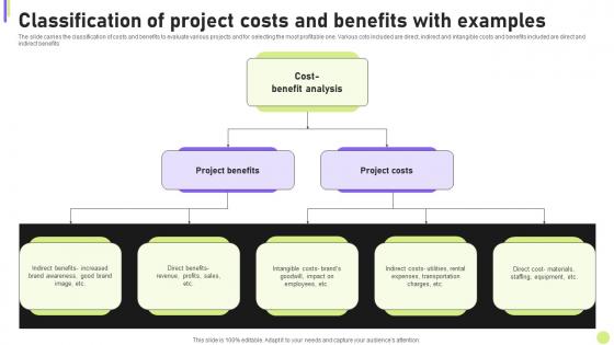 Cost Efficiency Strategies For Reducing Classification Of Project Costs And Benefits With Examples