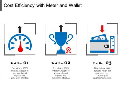 Cost efficiency with meter and wallet