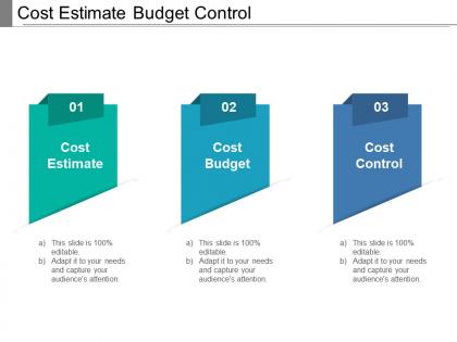 Cost estimate budget control