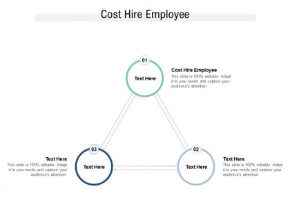 Cost hire employee ppt powerpoint presentation outline display cpb