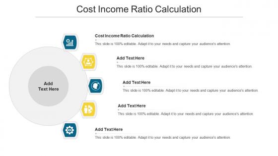 Cost Income Ratio Calculation Ppt Powerpoint Presentation Professional Outfit Cpb