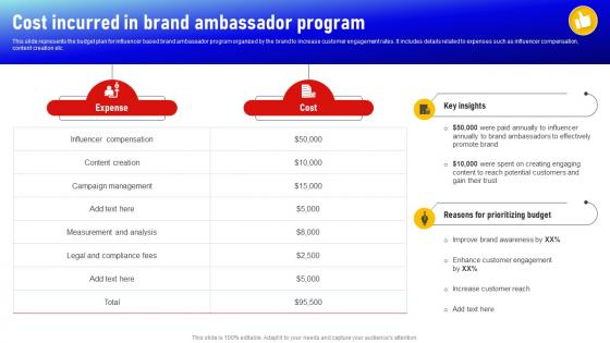 Cost Incurred In Brand Ambassador Program Social Media Influencer Strategy SS V