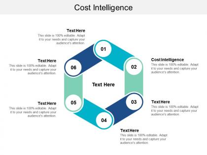 Cost intelligence ppt powerpoint presentation portfolio graphic images cpb