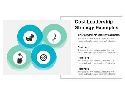 Cost leadership strategy examples ppt powerpoint presentation show slideshow cpb