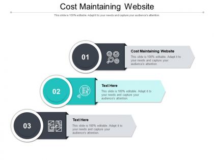 Cost maintaining website ppt powerpoint presentation gallery visual aids cpb