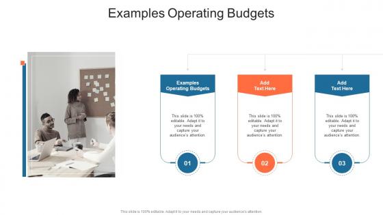 Cost Optimization Examples Operating Budgets In Powerpoint And Google Slides Cpb