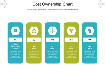 Cost ownership chart ppt powerpoint presentation icon portfolio cpb