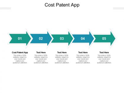 Cost patent app ppt powerpoint presentation ideas diagrams cpb