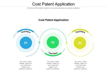 Cost patent application ppt powerpoint presentation ideas layouts cpb