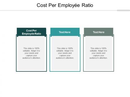 Cost per employee ratio ppt powerpoint presentation show vector cpb