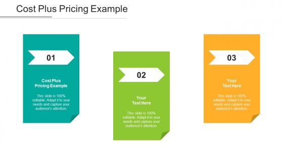 Cost Plus Pricing Example Ppt Powerpoint Presentation File Smartart Cpb
