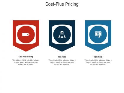 Cost plus pricing ppt powerpoint presentation icon outline cpb