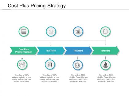 Cost plus pricing strategy ppt powerpoint presentation infographics objects cpb