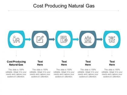 Cost producing natural gas ppt powerpoint presentation styles example introduction cpb