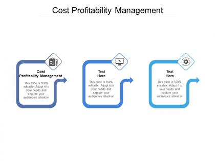 Cost profitability management ppt powerpoint presentation show examples cpb